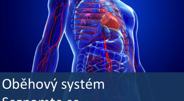 Nemoci oběhové soustavy – úvod Nemoci oběhové soustavy – úvod