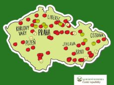 Jablka a jak je využít v kuchyni Jablka a jak je využít v kuchyni