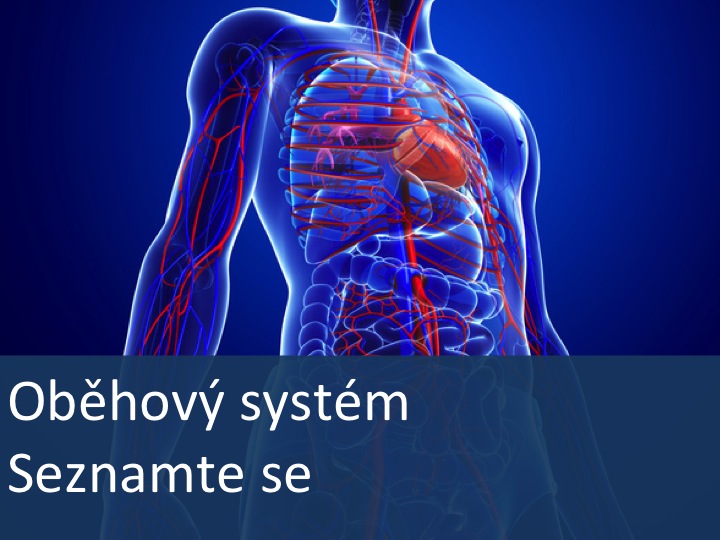 Nemoci oběhové soustavy – úvod