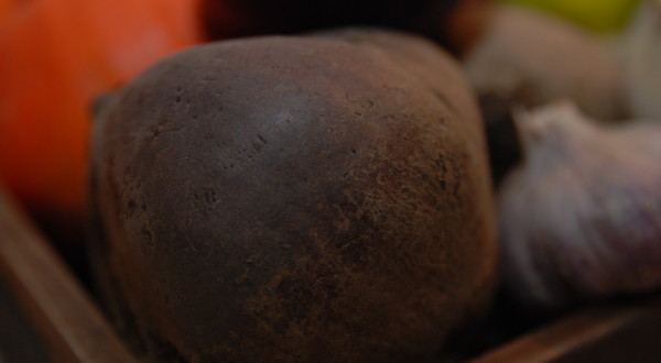 Řepa aneb everybody loves beetroot Řepa aneb everybody loves beetroot
